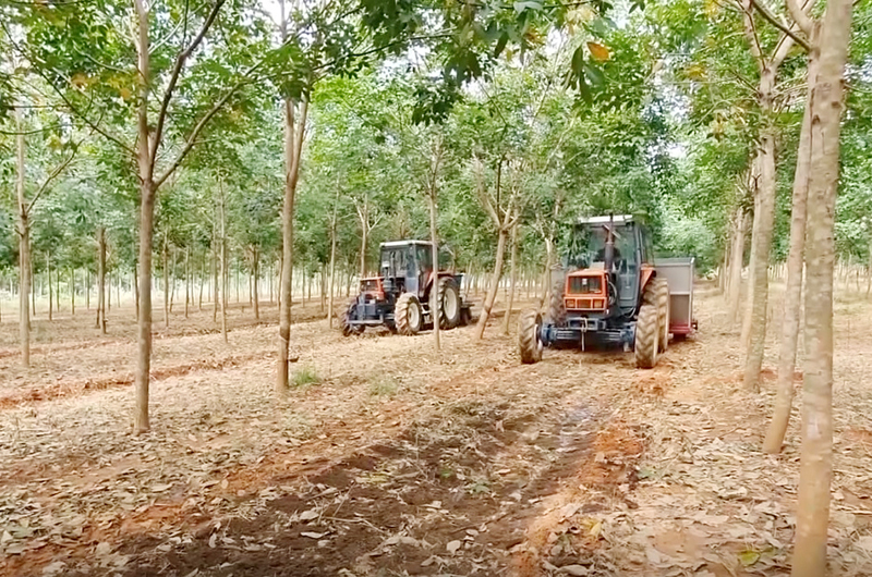 Cơ giới hóa toàn bộ các khâu trồng trọt và chăm sóc cây trồng.