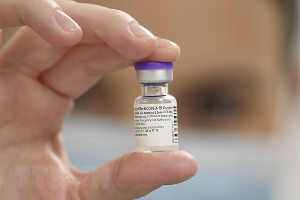 Vaccine ngừa COVID-19 của hãng Pfizer/BioNTech. (Ảnh: AFP/TTXVN)
