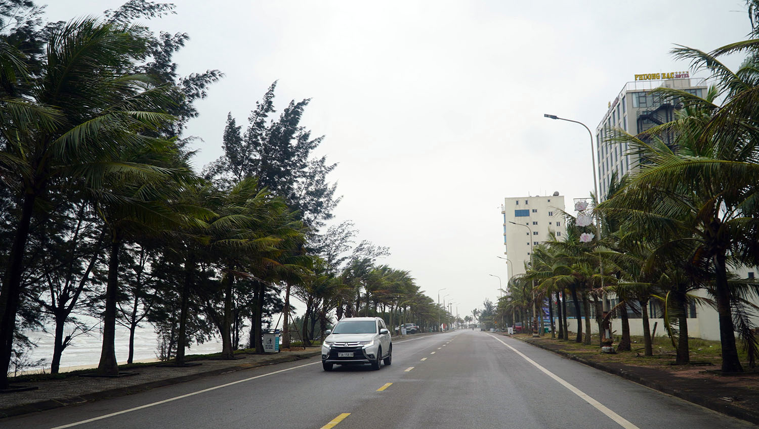  Cây xanh đã góp phần quan trọng trong xây dựng đô thị thông minh…