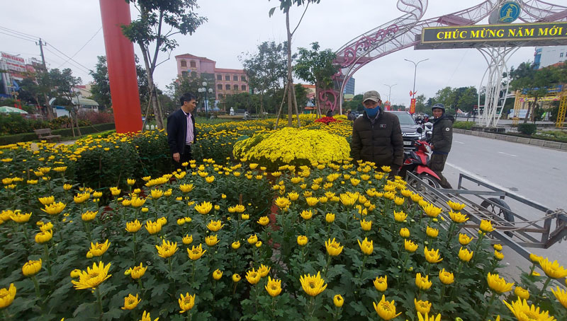 Chiều 30 Tết, hoa cúc vẫn còn lượng lớn trên các cung đường trên địa bàn TP. Đồng Hới.