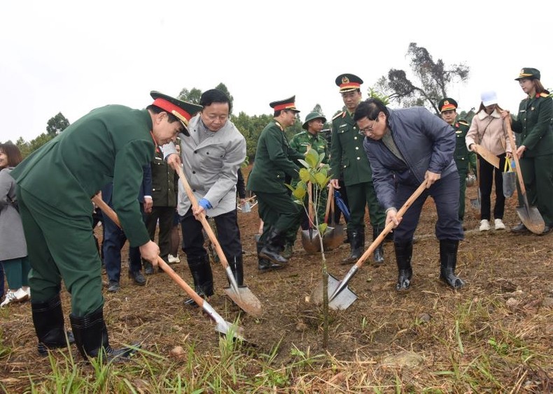Thủ tướng Phạm Minh Chính và các đại biểu tham gia tết trồng cây.