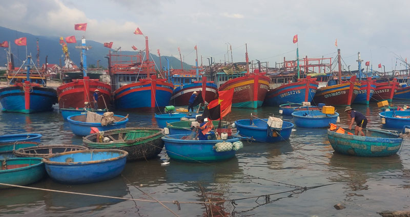Mặc dù còn gặp nhiều khó khăn nhưng tổng sản lượng thủy sản vẫn tăng 4,6% so với cùng kỳ.