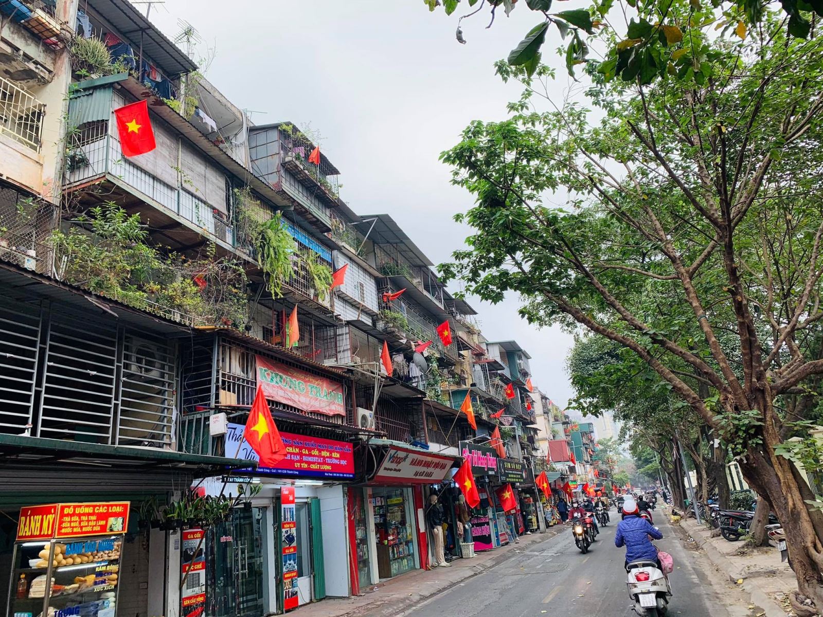 Cờ tổ quốc treo dịp lễ tết. Ảnh: HA