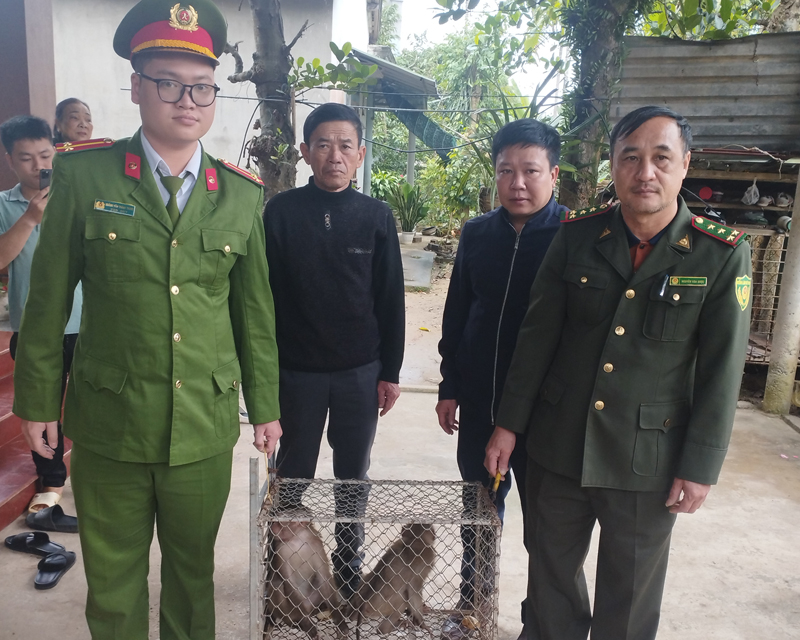 2 cá thể khỉ đuôi lợn do người dân tự nguyện giao nộp