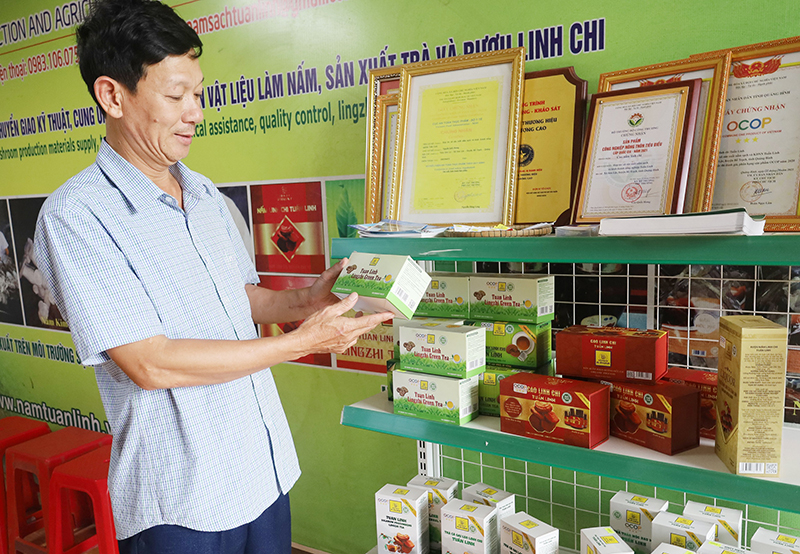 Chuyển đổi số góp phần thay đổi phương thức kinh doanh, nâng cao hiệu quả sản xuất của các HTX.