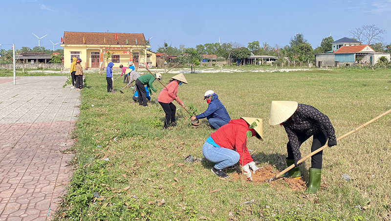 Các loại cây được bố trí trồng ở các địa điểm thích hợp, góp phần tạo cảnh quan xanh, sạch đẹp, bảo vệ môi trường