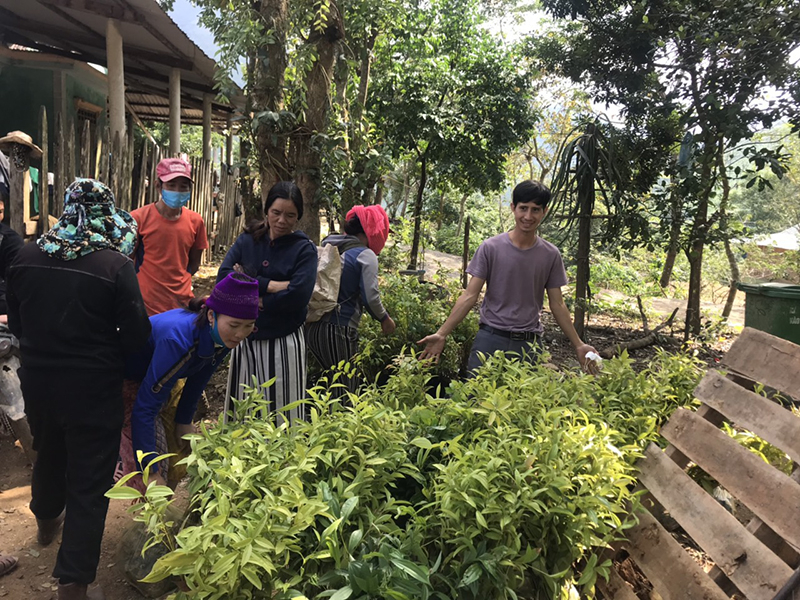 Bà con bản Cổ Tràng, xã Trường Sơn nhận các loại gống cây lâm nghiệp để trồng