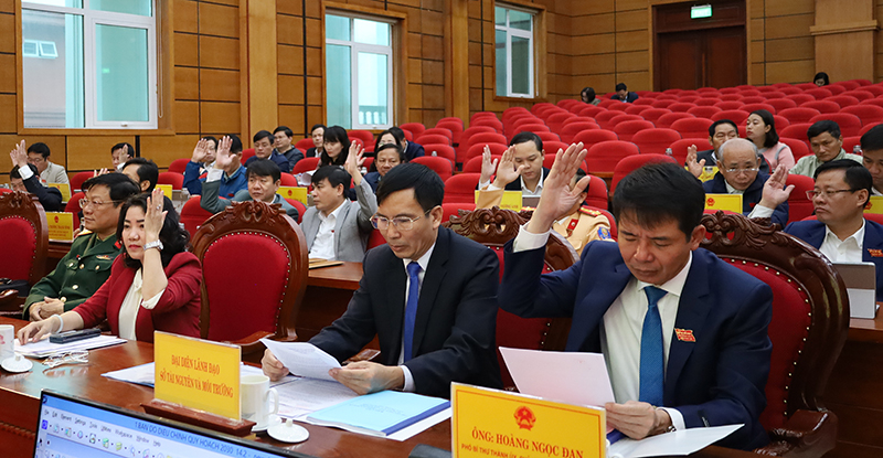 ác đại biểu biểu quyết thông qua các dự thảo Nghị quyết. 