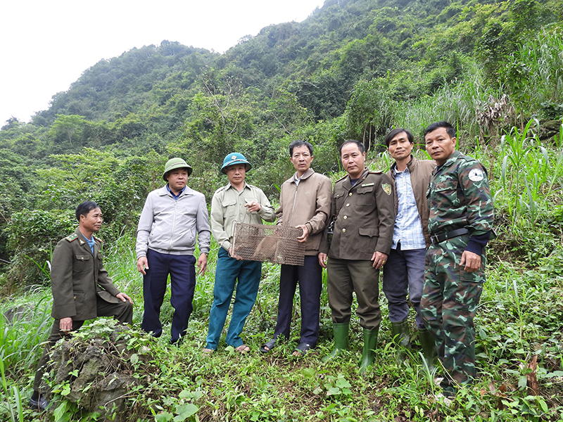 Tổ bảo vệ Voọc tự nguyện và các lực lượng đang thả cá thể khỉ nước về môi trường tự nhiên