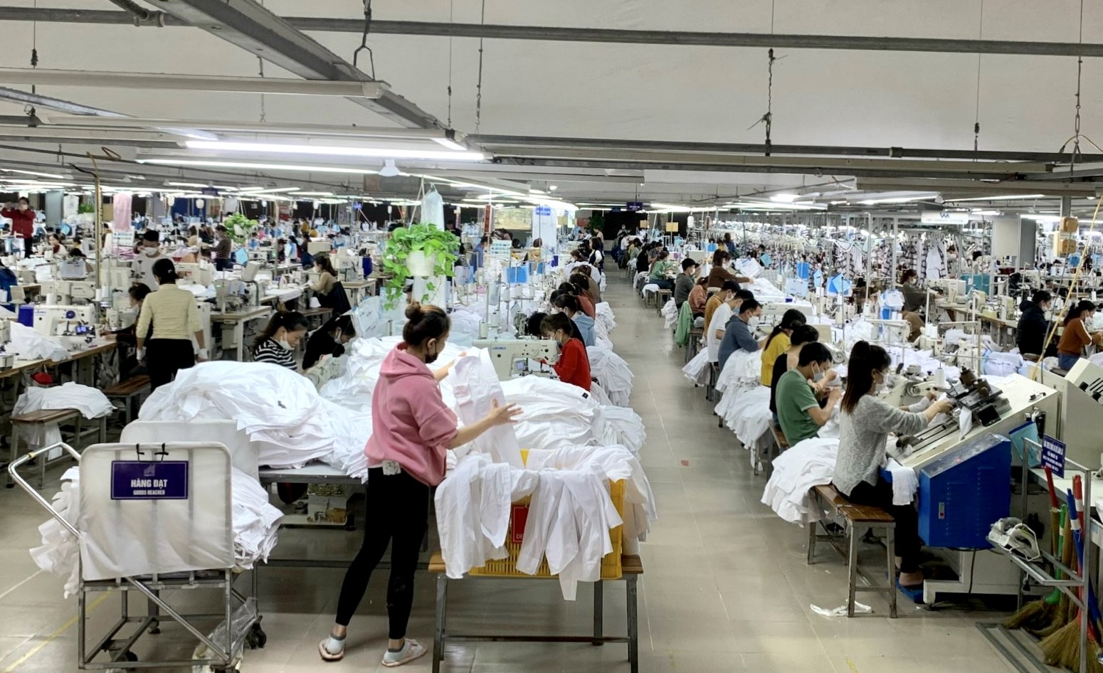 Bảo hiểm tai nạn lao động-bệnh nghề nghiệp, góp phần bù đắp tổn thất cho NLĐ, chia sẻ rủi ro với các doanh nghiệp.
