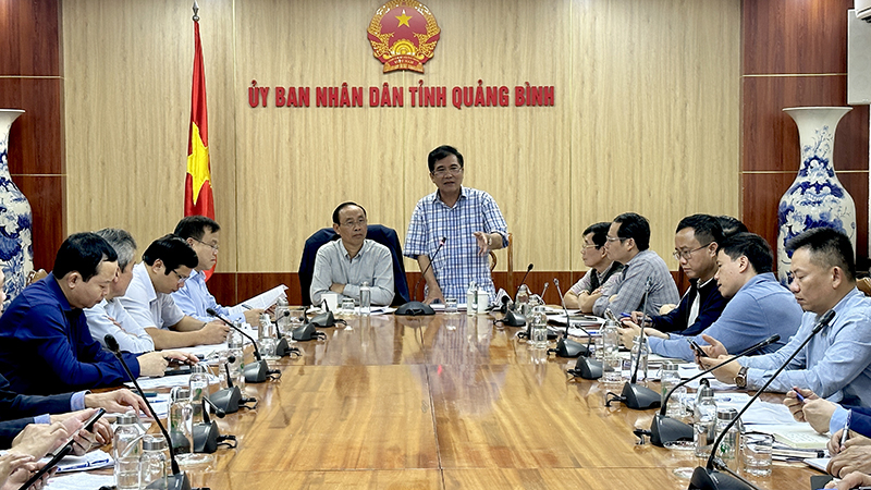 Đồng chí Phó Chủ tịch Thường trực UBND tỉnh Đoàn Ngọc Lâm phát biểu tại buổi làm việc.