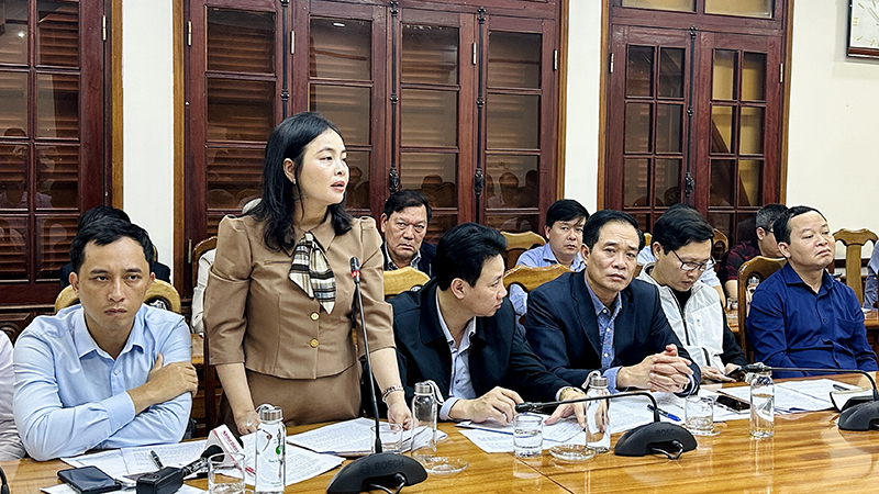 Đại biểu phát biểu tại buổi làm việc.