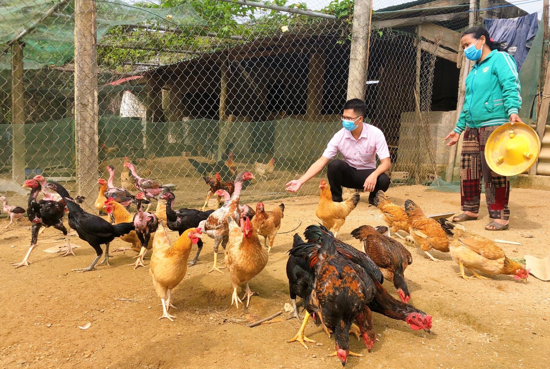 Nhiều mô hình chăn nuôi tổng hợp của người dân được mở rộng, góp phần giảm nghèo bền vững.
