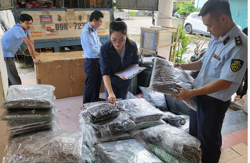 Đội Quản lý thị trường số 7 đang kiểm tra hàng hóa vi phạm trong dịp cao điểm trước, trong và sau Tết Nguyên đán 2023.