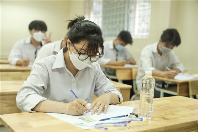 Ảnh minh họa: Minh Quyết/TTXVN