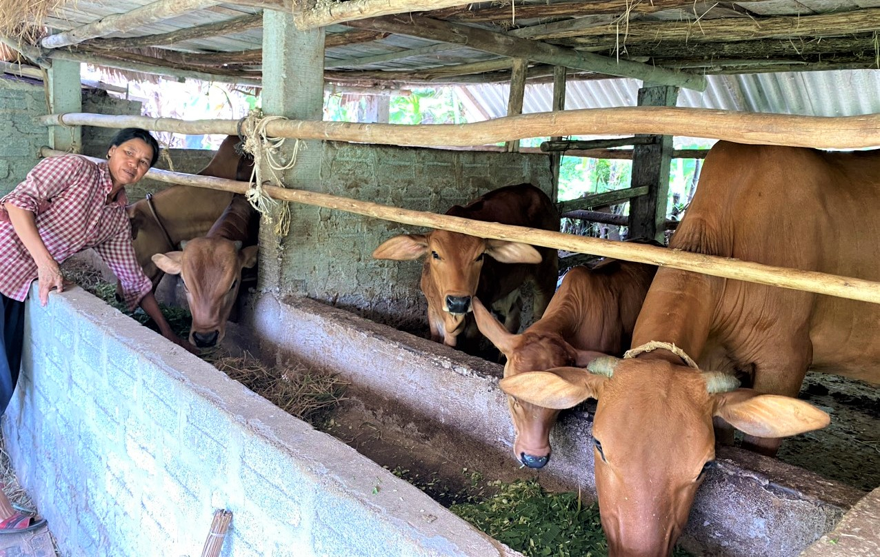 Nhiều hộ nghèo trên địa bàn huyện Tuyên Hóa được tiếp cận nguồn vốn, phát triển sản xuất, thoát nghèo bền vững.