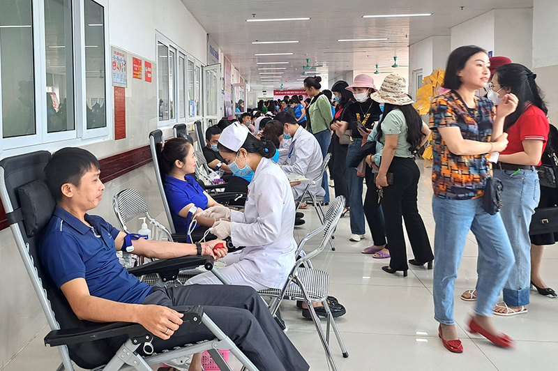 Ngày hội HMTN thu hút 200 tình nguyện viên trên địa bàn thành phố tham gia.