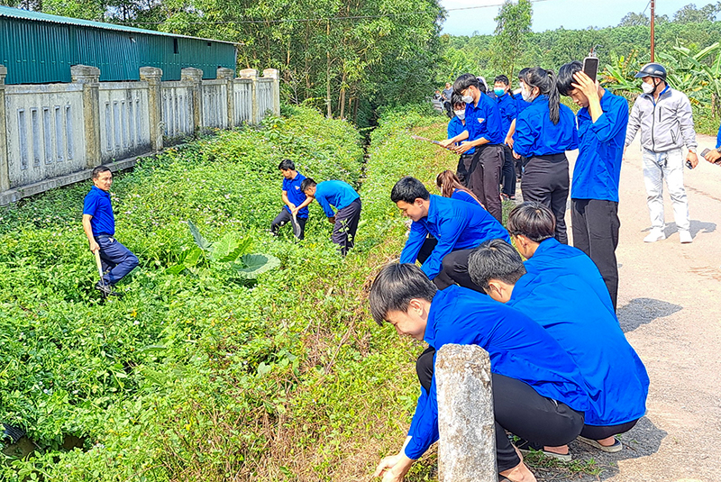 Các địa phương trên địa bàn thành phố đồng loạt ra quân tổng vệ sinh môi trường trên các tuyến đường, các khu vực công cộng.