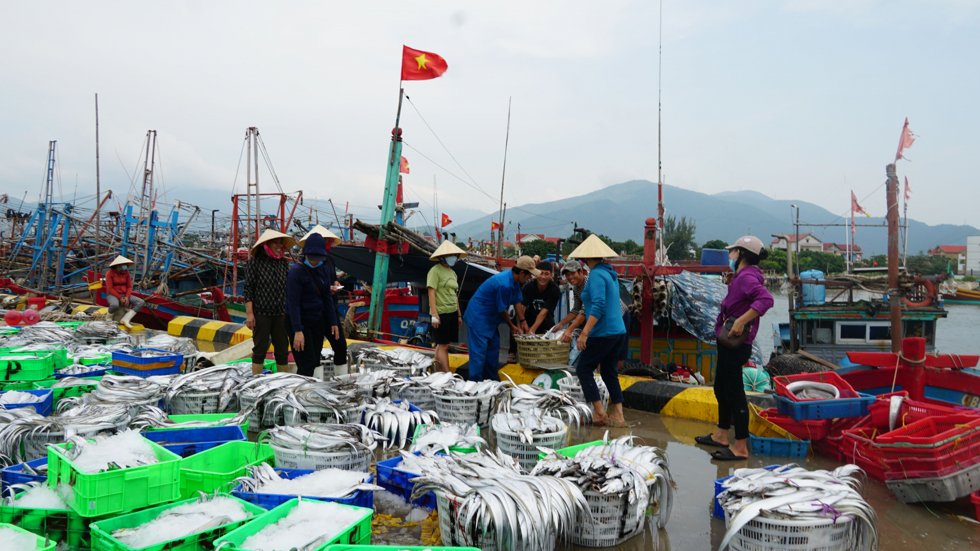Sản lượng đánh bắt hải sản của ngư dân Cảnh Dương (Quảng Trạch) tăng khá.