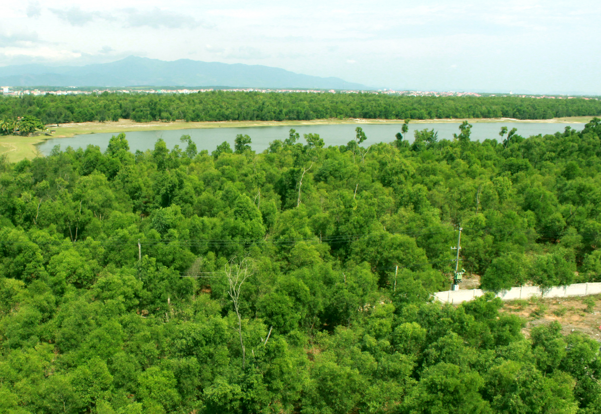 (Ảnh minh họa)