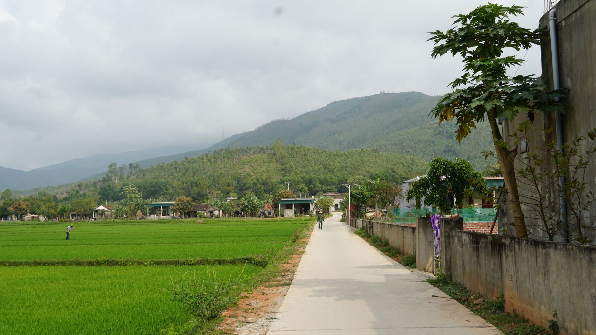 Nhiều tuyến đường giao thông nông thôn ở thôn Hùng Sơn (Quảng Kim) được đầu tư đổ bê tông sạch đẹp, tạo điều kiện thuận lợi cho người dân đi lại.