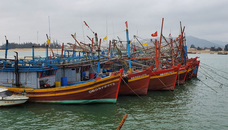Tàu dịch vụ hậu cần thiếu và yếu, chưa đáp ứng yêu cầu cho đội tàu đánh bắt xa bờ trên địa bàn toàn tỉnh