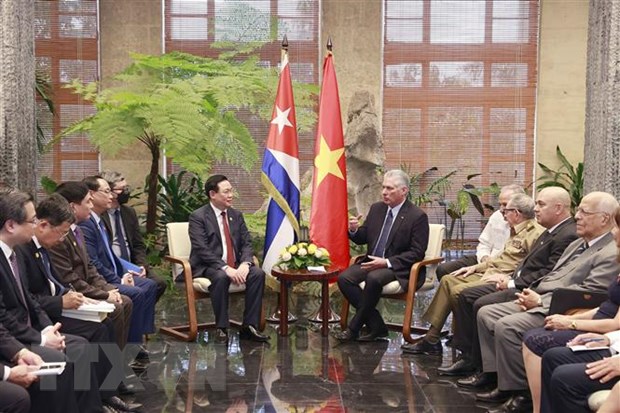 Chủ tịch Quốc hội Vương Đình Huệ hội kiến Chủ tịch nước Cộng hòa Cuba Miguel Díaz-Canel. (Ảnh: Doãn Tấn/TTXVN)