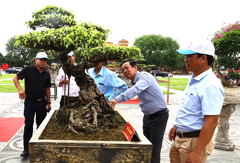 Người dân đến xem triển lãm.