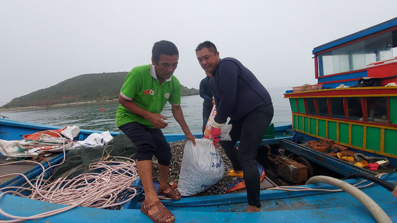 Người dân khai thác sò lụa đầu mùa để tiêu thụ.
