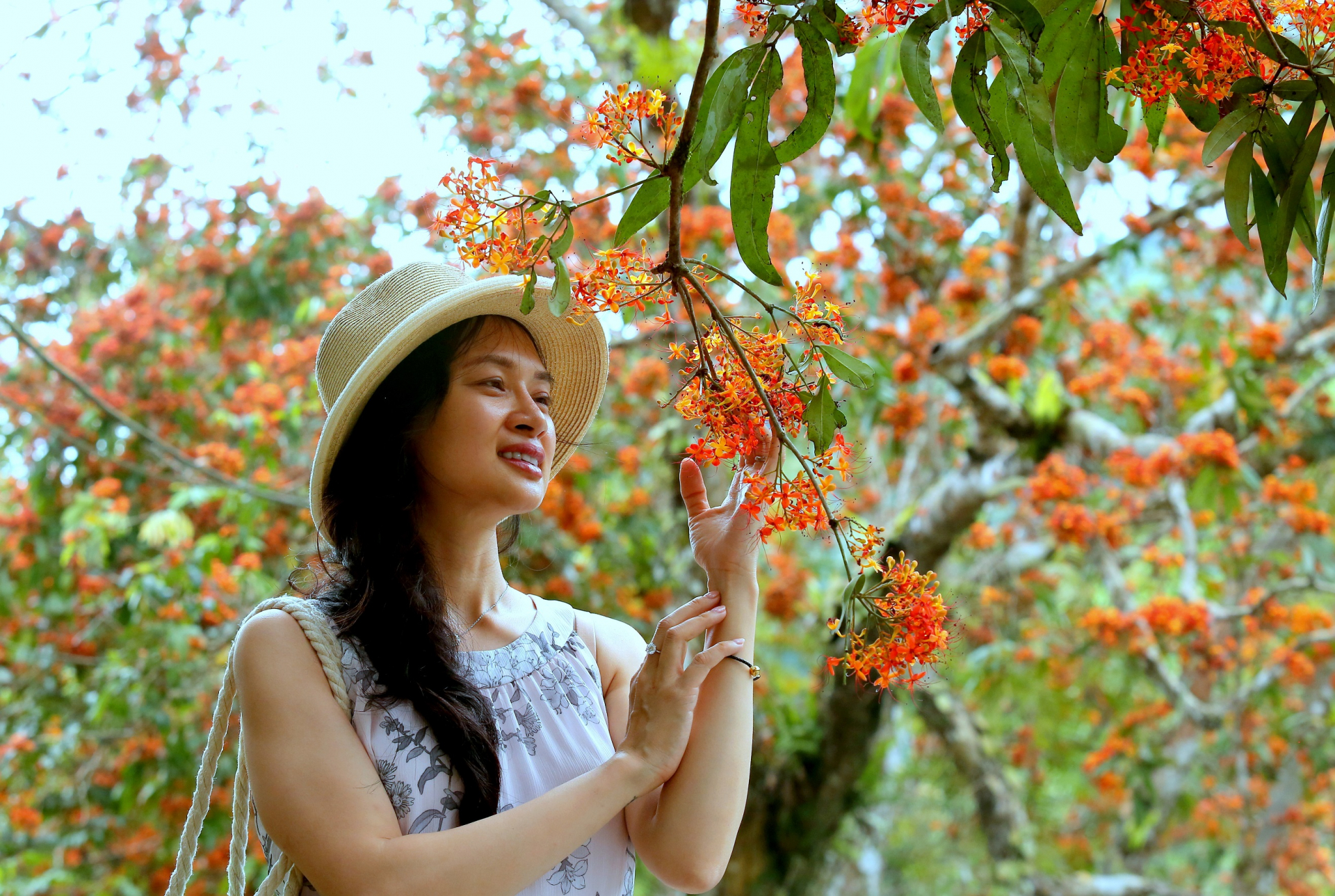 (Ảnh minh họa)