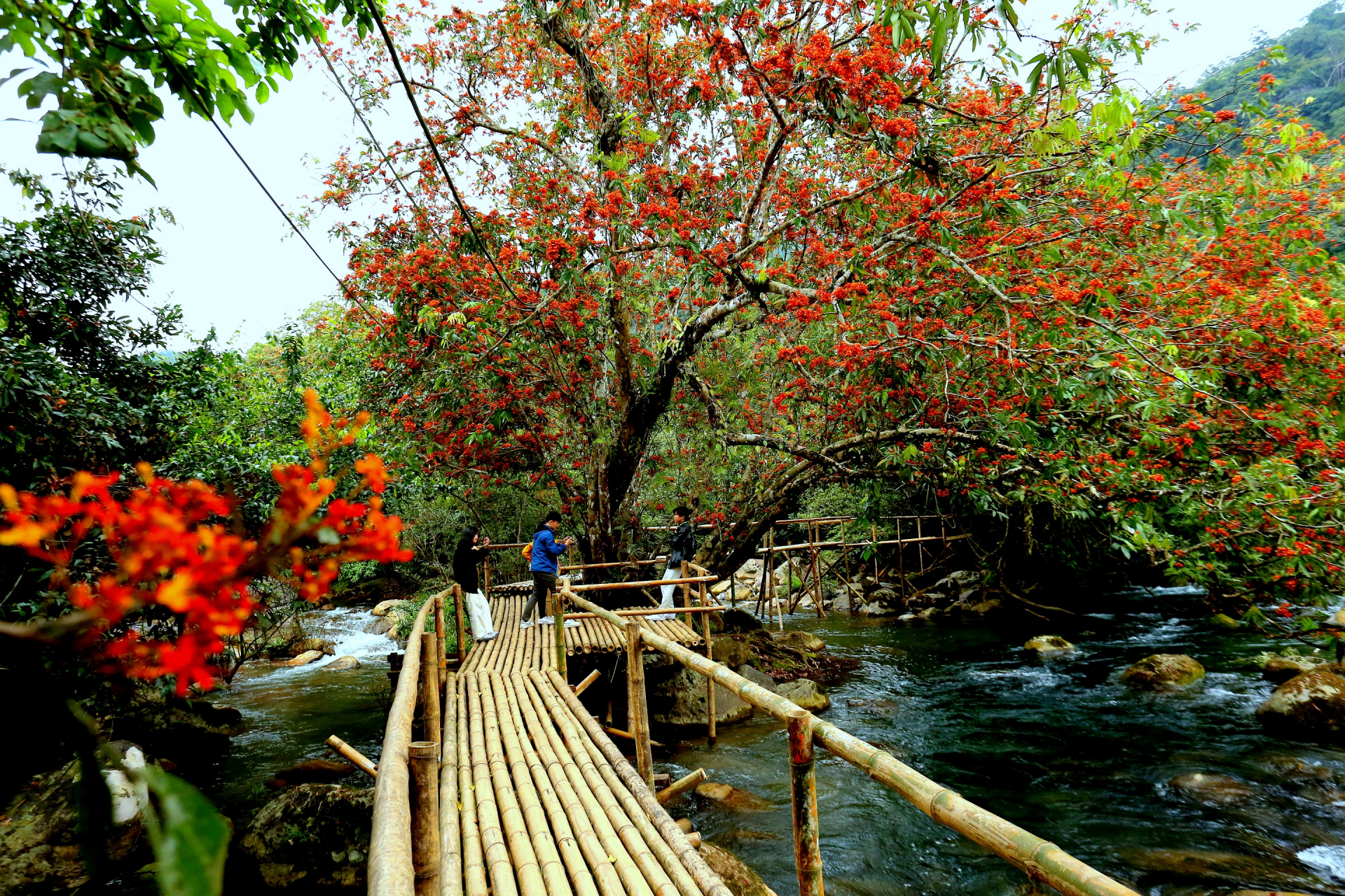 (Ảnh minh họa)