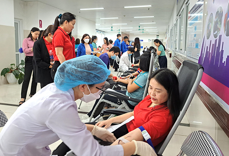 Ngày hội HMTN thu hút 260 tình nguyện viên tham gia.