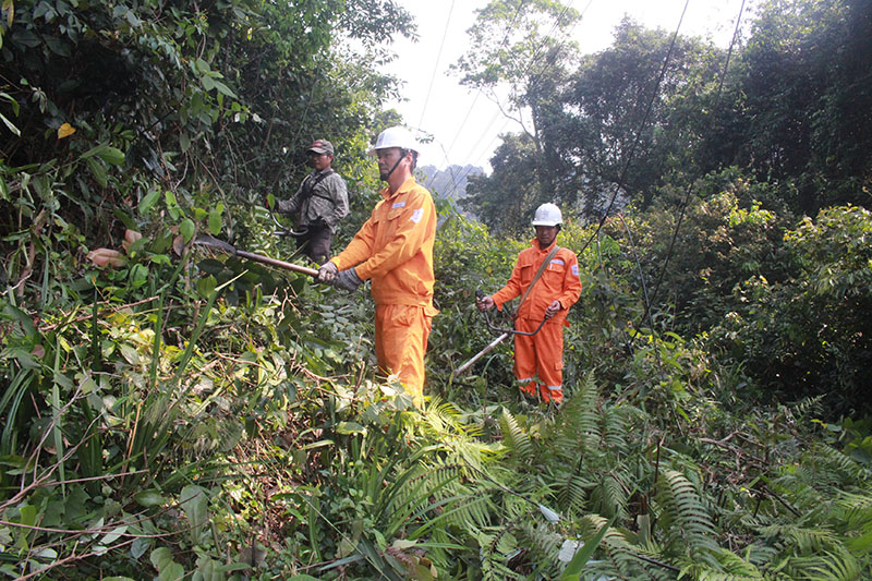 Công nhân Đội quản lý điện thị trấn Nông trường Việt Trung-Trường Sơn vệ sinh hành lang lưới điện giữa rừng.