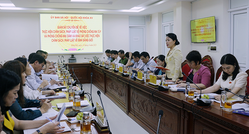 Toàn cảnh buổi giám sát.