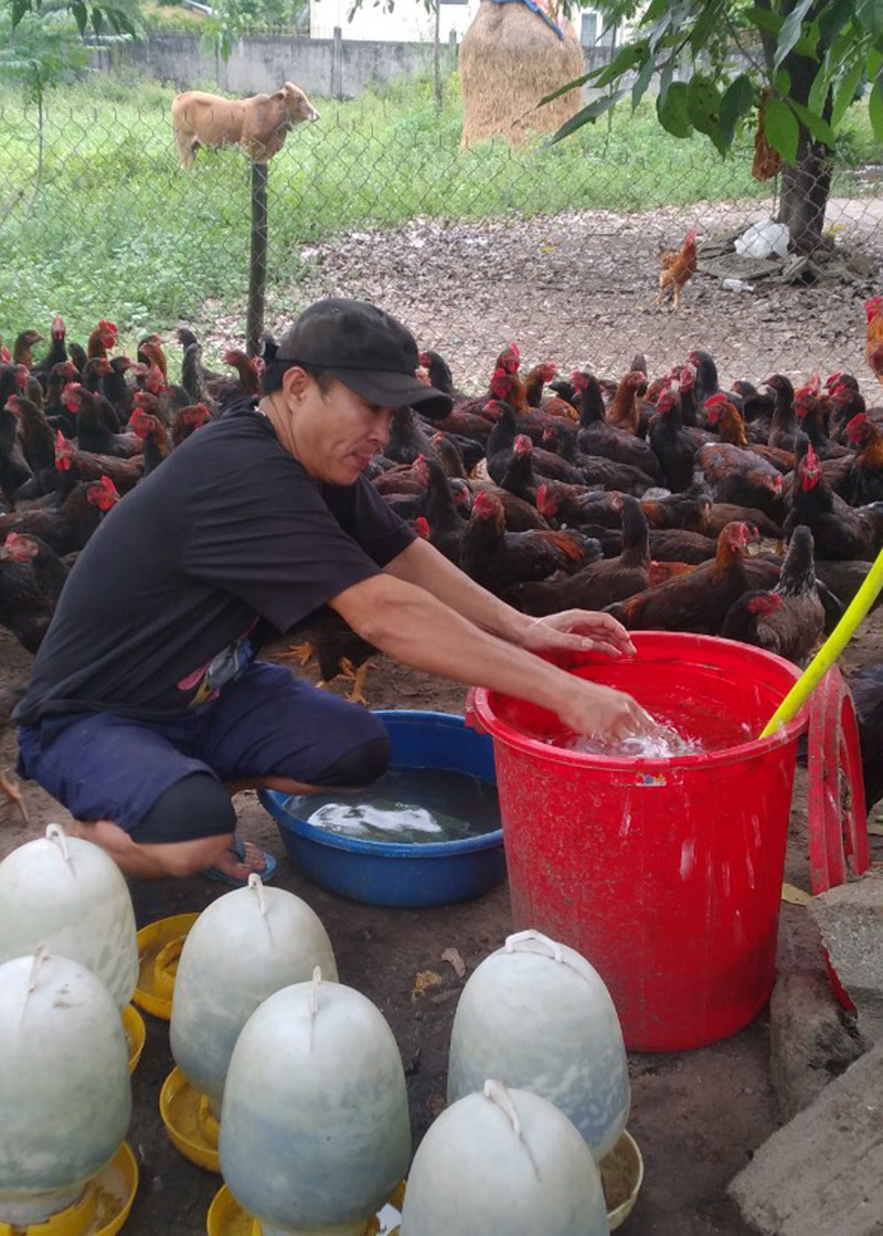 Nhờ nguồn vốn tín dụng ưu đãi, anh Trần Đông ở thôn Giữa, xã Vạn Ninh (Quảng Ninh) đã phát triển mô hình kinh tế, nâng cao thu nhập.
