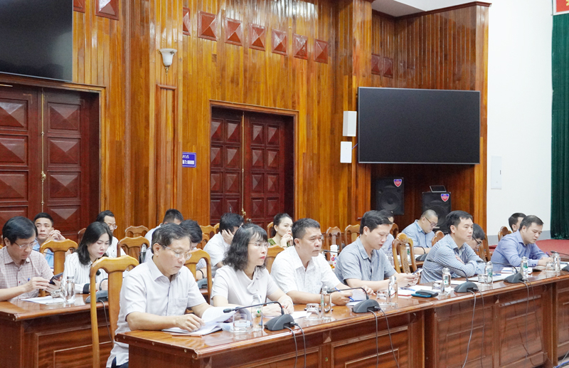 Các đại biểu dự cuộc họp.