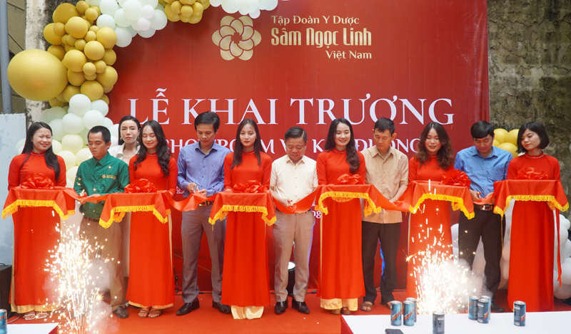 Các đại biểu cắt băng khai trương showroom sâm Ngọc Linh tại  111 Lý Thường Kiệt, TP. Đồng Hới.