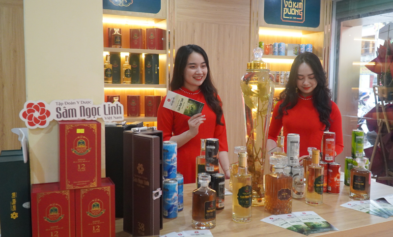Các sản phẩm sâm Ngọc Linh được giới thiệu tại showroom 111 Lý Thường Kiệt, TP. Đồng Hới.