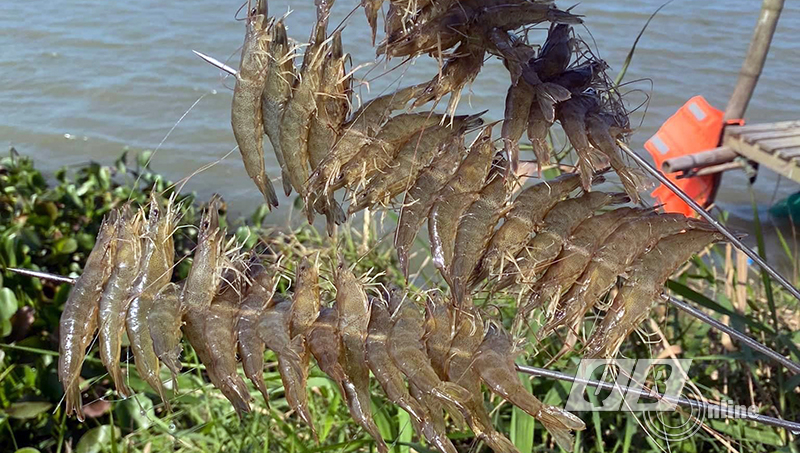 Những món ăn vùng đầm phá níu chân du khách.
