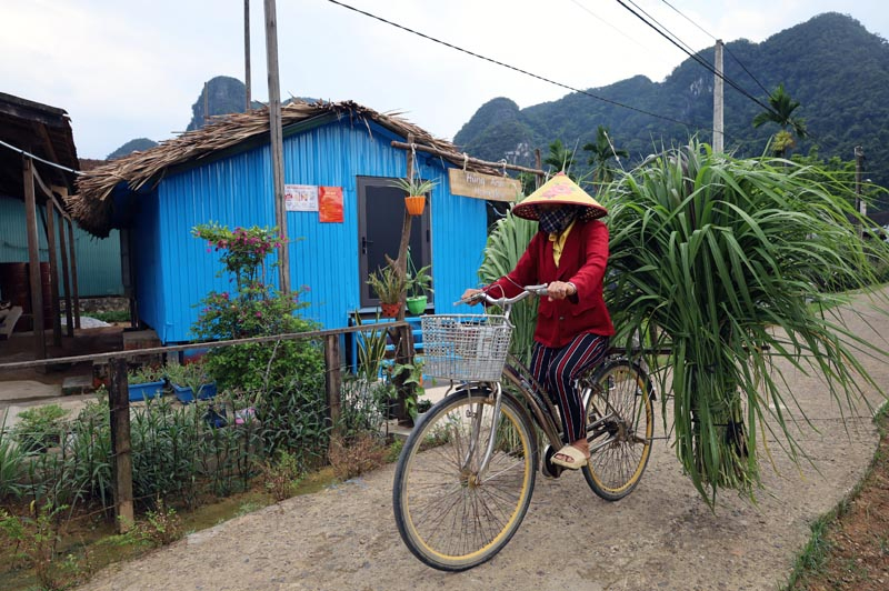 Đến với Rural Homestay, du khách sẽ được trải nghiệm cuộc sống cùng người dân vùng  