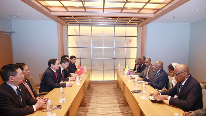 Thủ tướng Phạm Minh Chính hội kiến với Tổng thống Liên bang Comoros Azali Assoumani. (Ảnh: Dương Giang)
