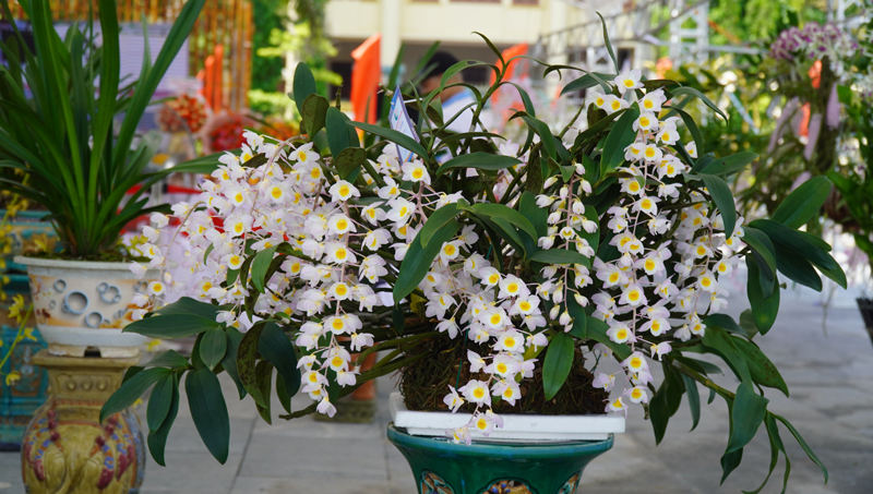 Tác phẩm  