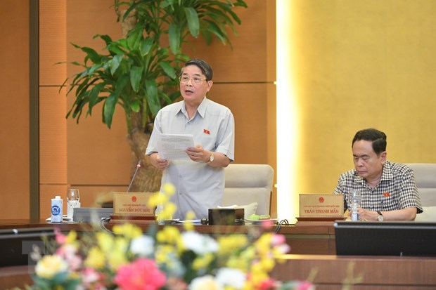 Phó Chủ tịch Quốc hội Nguyễn Đức Hải phát biểu. (Ảnh: TTXVN)