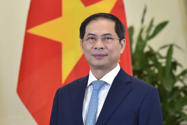 Bộ trưởng Bộ Ngoại giao Bùi Thanh Sơn. (Nguồn: TTXVN)