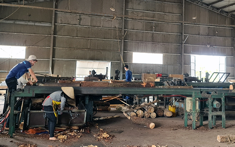 Nhiều doanh nghiệp xuất khẩu gỗ, sản phẩm từ gỗ trên địa bàn tỉnh được hoàn thuế giá trị gia tăng.