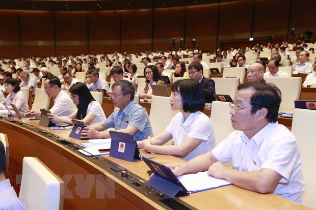 Đoàn đại biểu Quốc hội tỉnh Hải Dương dự phiên họp. (Ảnh: Doãn Tấn/TTXVN)
