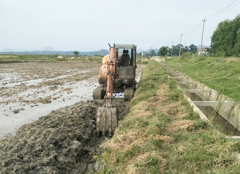 Máy đào được xác định do ông V.D.B. chỉ đạo đến phá hoại ruộng