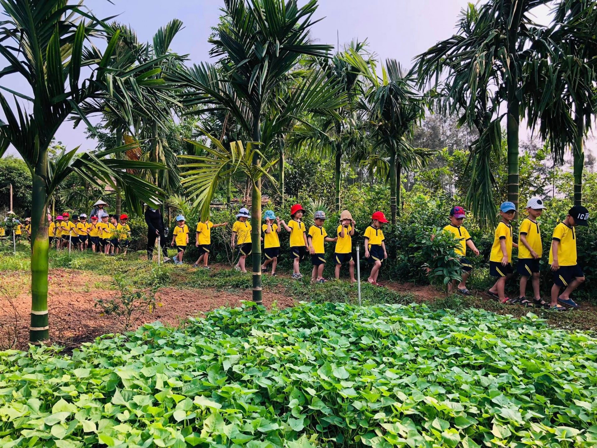Nhiều đoàn học sinh của các trường học trên địa bàn đến thăm quan, trải nghiệm tại An Nông Farm.