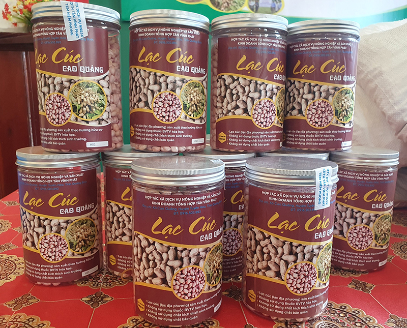 Sản phẩm lạc cúc Cao Quảng.