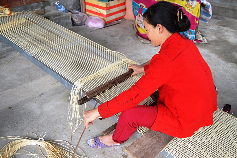 Các hợp tác xã phát huy hiệu quả hoạt động, tạo việc làm cho lao động địa phương.